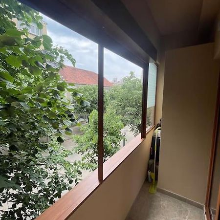 Apartment Filip Niksic ภายนอก รูปภาพ